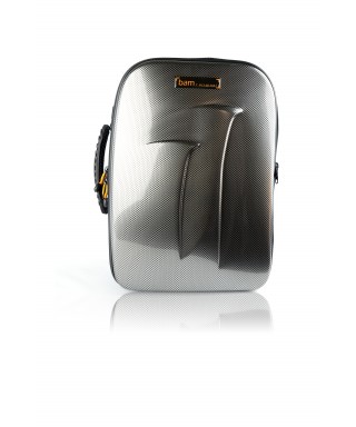 BAM TREK3028SSC New Trekking Case "for 2 SIB Clarinets E The - Silver Carbon "
