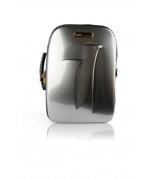 BAM TREK3028SSC New Trekking Case "for 2 SIB Clarinets E The - Silver Carbon "