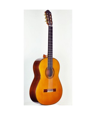 PAULINO BERNABE Guitar P.Bernabe Mod.30 Table Cedar