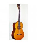 PAULINO BERNABE CHITARRA P.BERNABE MOD.30 TAVOLA CEDRO