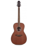 TAKAMINE NEW YORKER G SELECTED SERIES