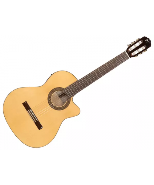 JOSE TORRES JTF-30CE