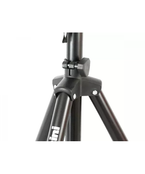 Gemini as 12 blue pack