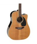 TAKAMINE EF360SC-TT