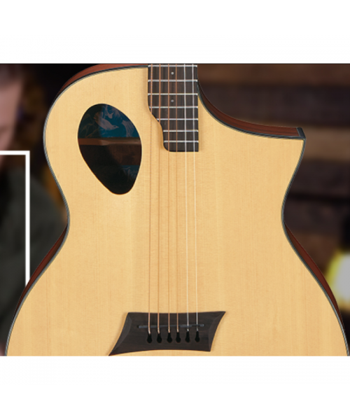 Michael Kelly strong port - Electrified acoustic guitar - '' Port Tech '' - Natural