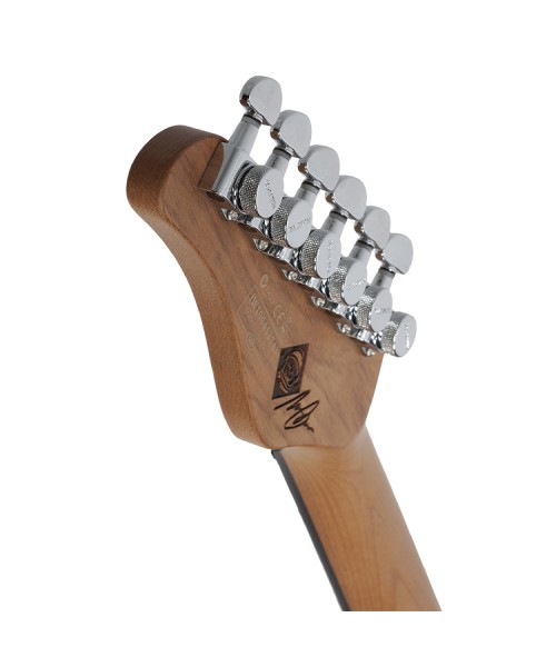 SCHECTER NICK JOHNSTON SIGNATURE SSS-ACORAL