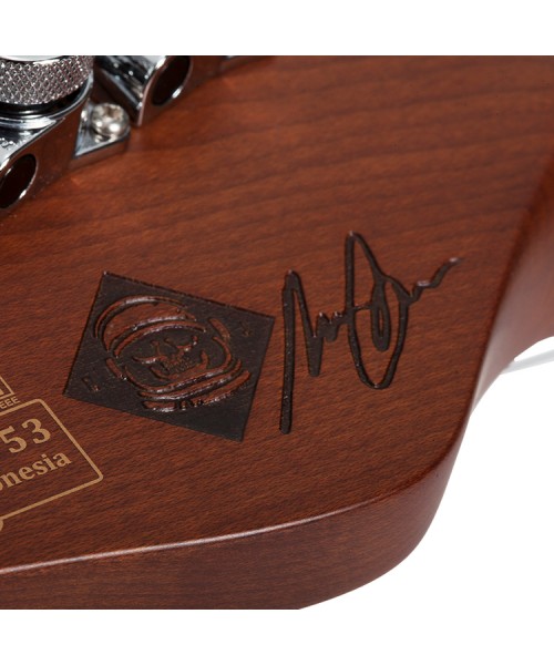 SCHECTER NICK JOHNSTON SIGNATURE SSS-AGREEN