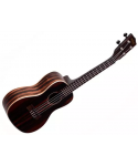 KALA Ka-Eby-C - Ukulele concert striped ebony - C / bag