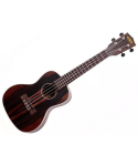 KALA Ka-Eby-C - Ukulele concert striped ebony - C / bag
