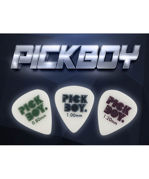 PICKBOY GPSGWR100/S