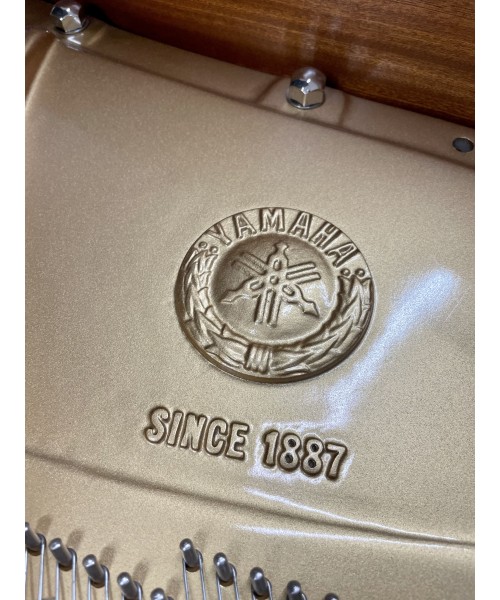 Tailed piano YAMAHA C7 glossy black