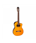 TAKAMINE GC6CE NATURAL