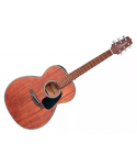TAKAMINE GLN11E-NS