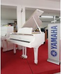 Half-tail piano YAMAHA C3 glossy white