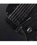 SCHECTER R66 TRADITIONAL BAD BOY