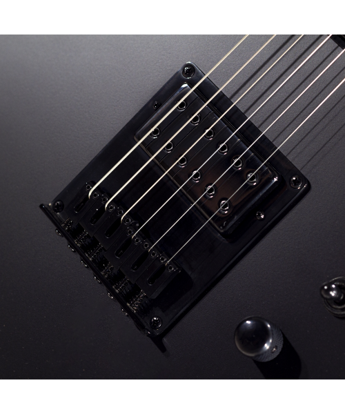 SCHECTER R66 PT Bad Boy