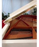 Half-tail piano Liederman mod. Vh-160 white