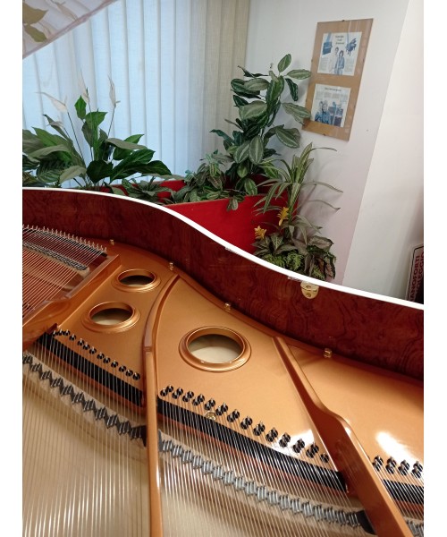 Half-tail piano Liederman mod. Vh-160 white