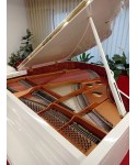 Half-tail piano Liederman mod. Vh-160 white