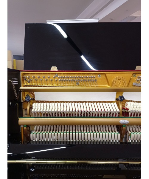 SCHULZE POLLMANN S 118A glossy black