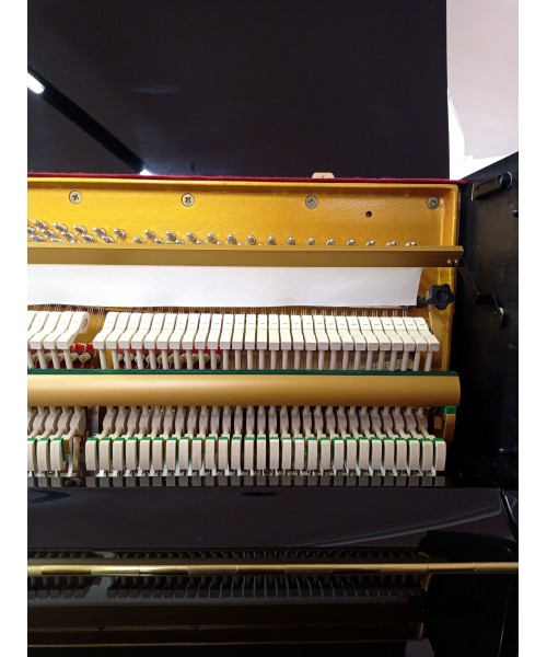 SCHULZE POLLMANN S 118A glossy black