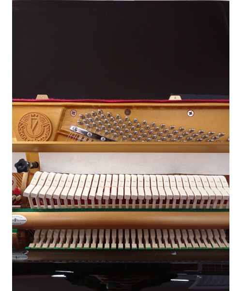 SCHULZE POLLMANN S 122A NERO LUCIDO