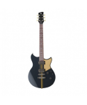YAMAHA Rsp20xrbc