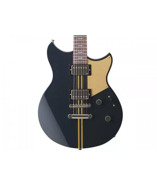 YAMAHA Rsp20xrbc