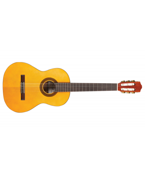 CORDOBA PROTEGE C1 3/4