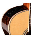 TAKAMINE Nex CTW Elet G Series