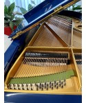 Half-tailed piano C. BECHSTEIN MoD. B Blue Shiny Night