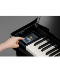 KAWAI CA 901 glossy black