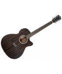 WASHBURN Deep Forest Ebony Ace Striped Ebony