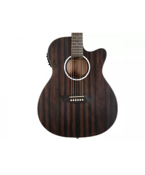 WASHBURN Deep Forest Ebony Ace Striped Ebony