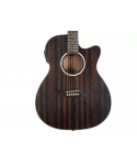 WASHBURN Deep Forest Ebony Ace Striped Ebony