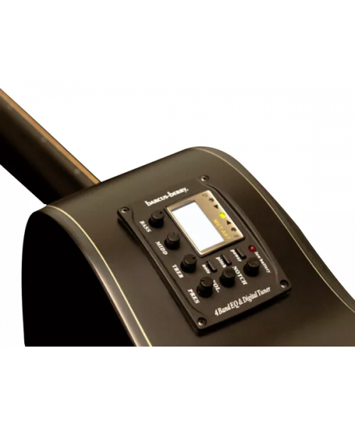 WASHBURN Deep Forest Ebony Ace Striped Ebony