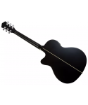 WASHBURN Deep Forest Ebony Ace Striped Ebony
