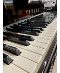 Half-tail piano YAMAHA C5 glossy black