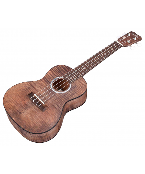 CORDOBA 15cfm concert