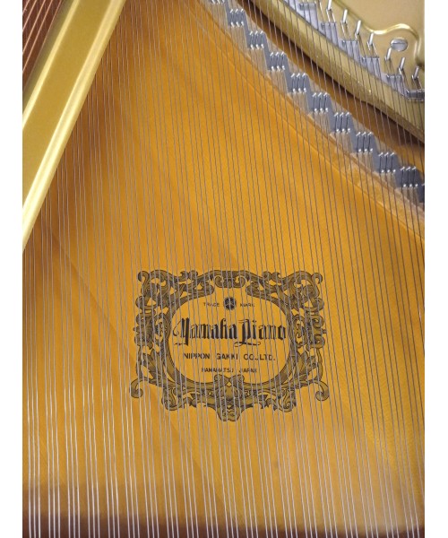 Half-tail piano YAMAHA C7 glossy black