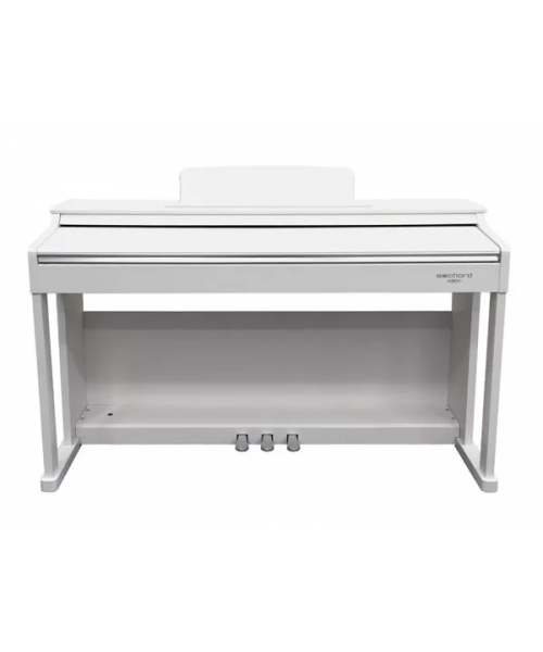 ECHORD DPX100 WHITE
