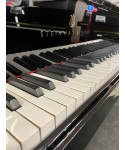 Half-tail piano STEINWAY & SONS MoD. M170 glossy black