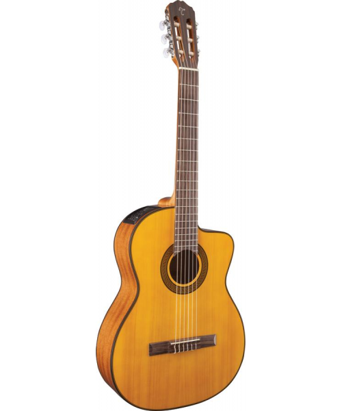 TAKAMINE Gc3ce-Nat