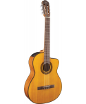 TAKAMINE GC3CE-NAT