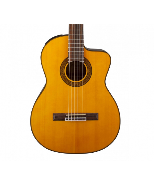 TAKAMINE Gc3ce-Nat
