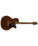 TAKAMINE GSN11MCE NG