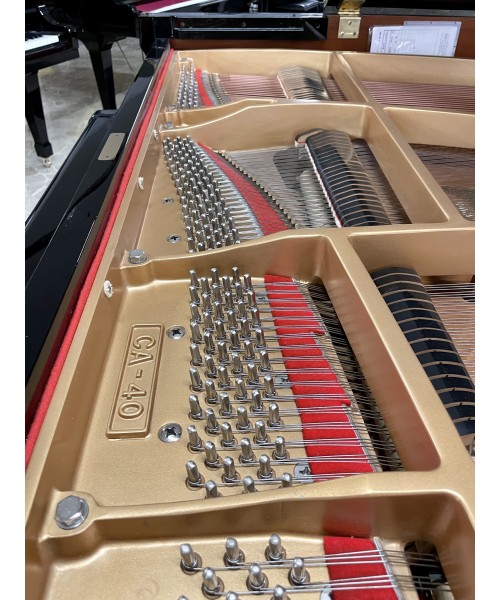 Piano Half tail Ka glossy black