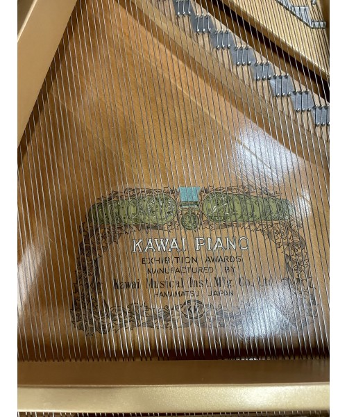 Piano Half tail Ka glossy black