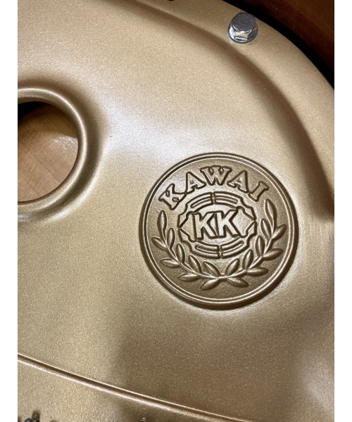 Piano Half tail Ka glossy black