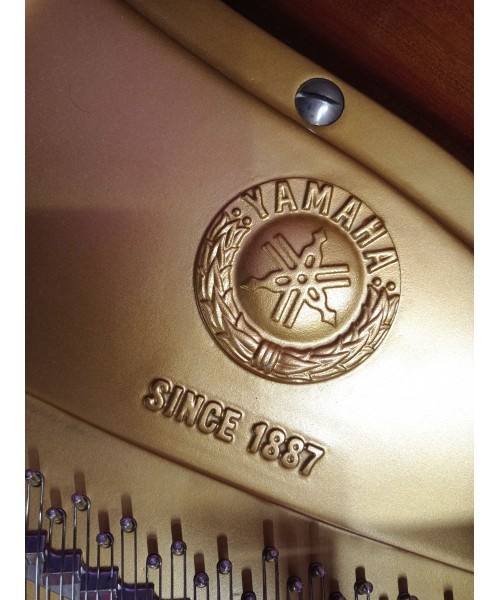 Tailed piano YAMAHA C3 BK